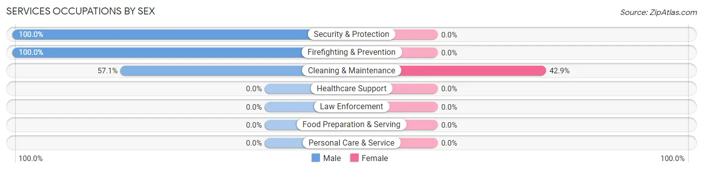 Services Occupations by Sex in Mahnomen