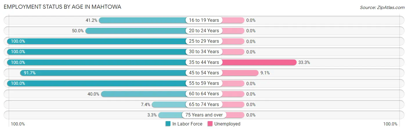 Employment Status by Age in Mahtowa