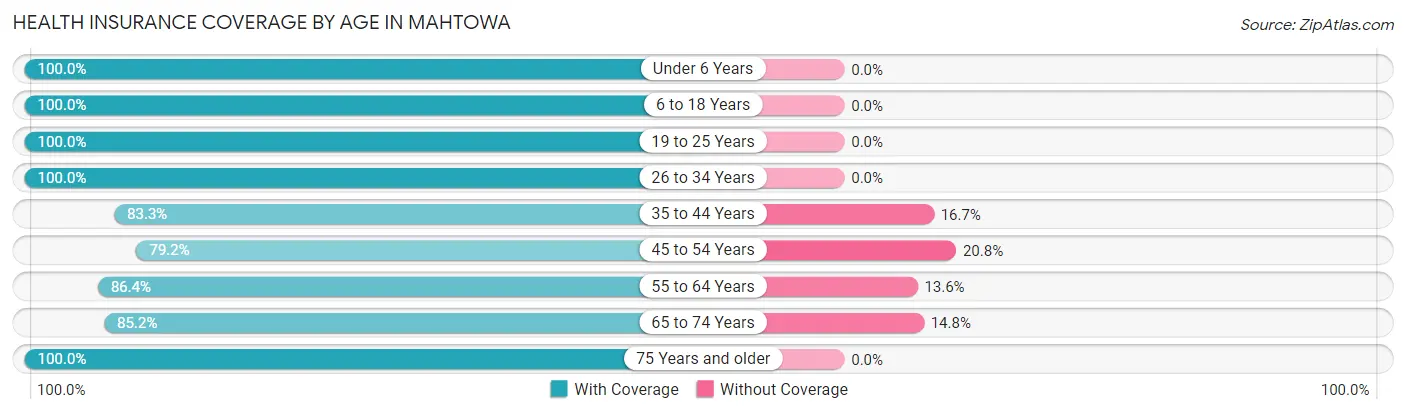 Health Insurance Coverage by Age in Mahtowa