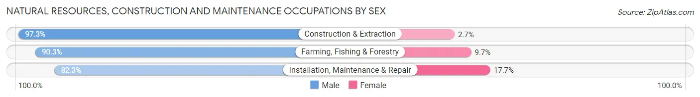 Natural Resources, Construction and Maintenance Occupations by Sex in Mankato