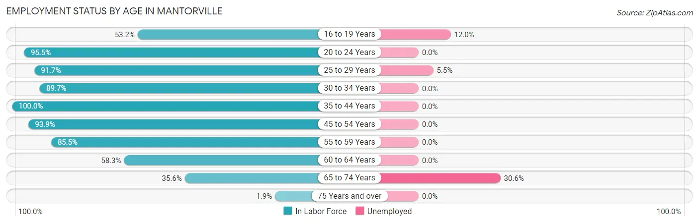 Employment Status by Age in Mantorville