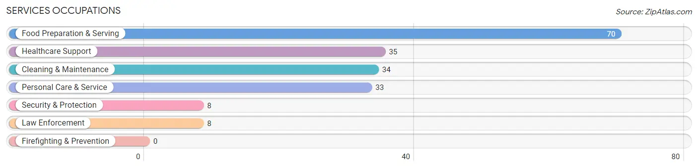 Services Occupations in Maple Lake