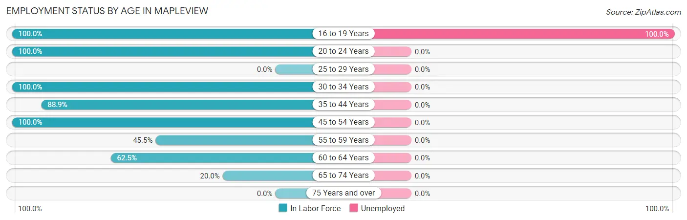 Employment Status by Age in Mapleview