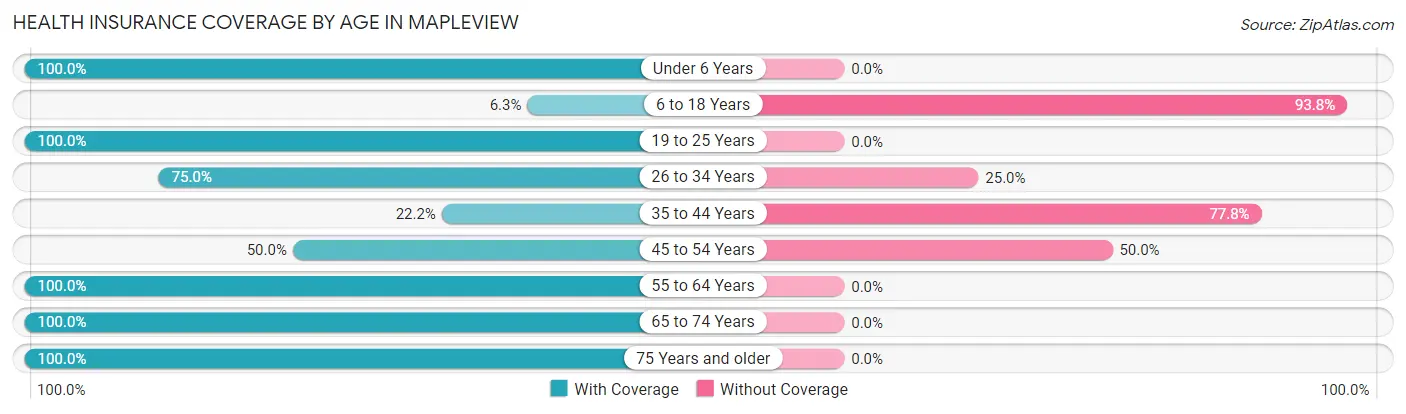 Health Insurance Coverage by Age in Mapleview