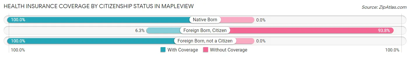 Health Insurance Coverage by Citizenship Status in Mapleview