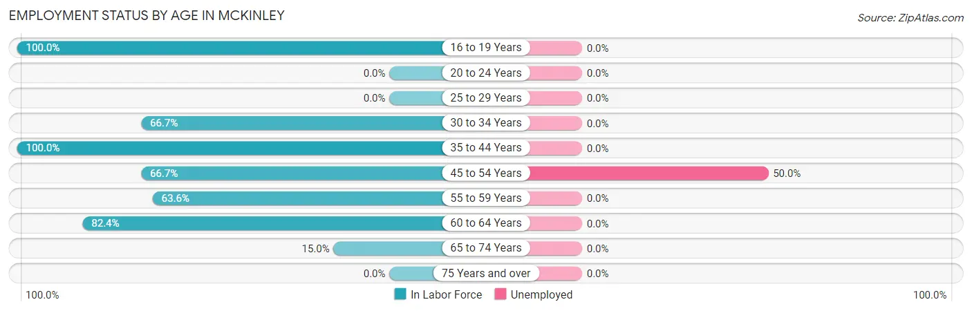 Employment Status by Age in McKinley