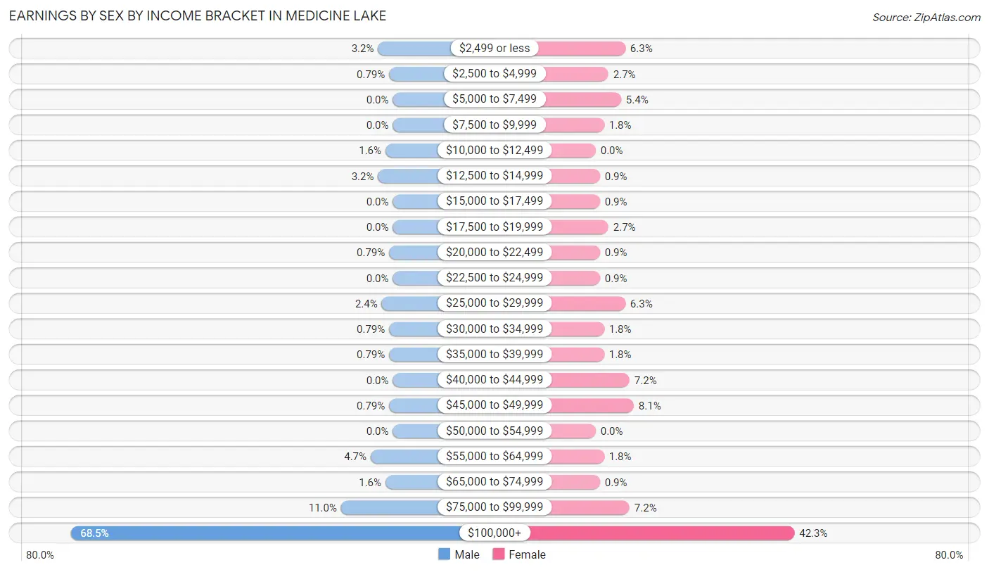 Earnings by Sex by Income Bracket in Medicine Lake