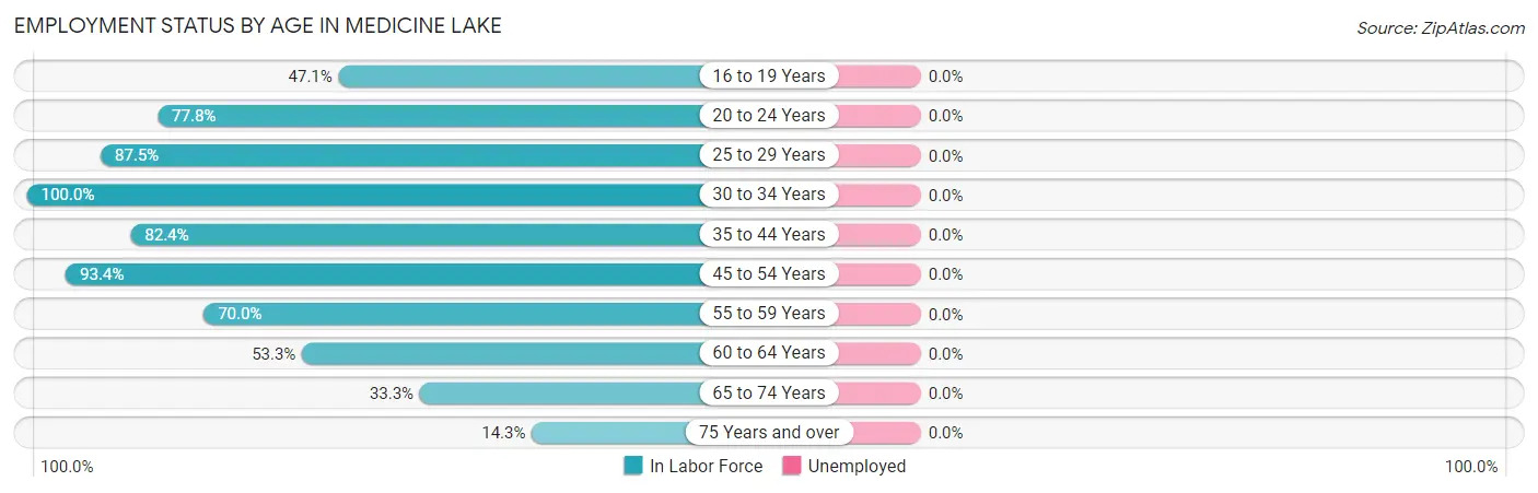 Employment Status by Age in Medicine Lake