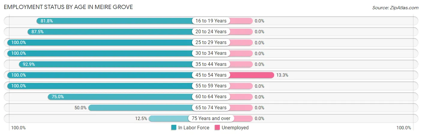 Employment Status by Age in Meire Grove