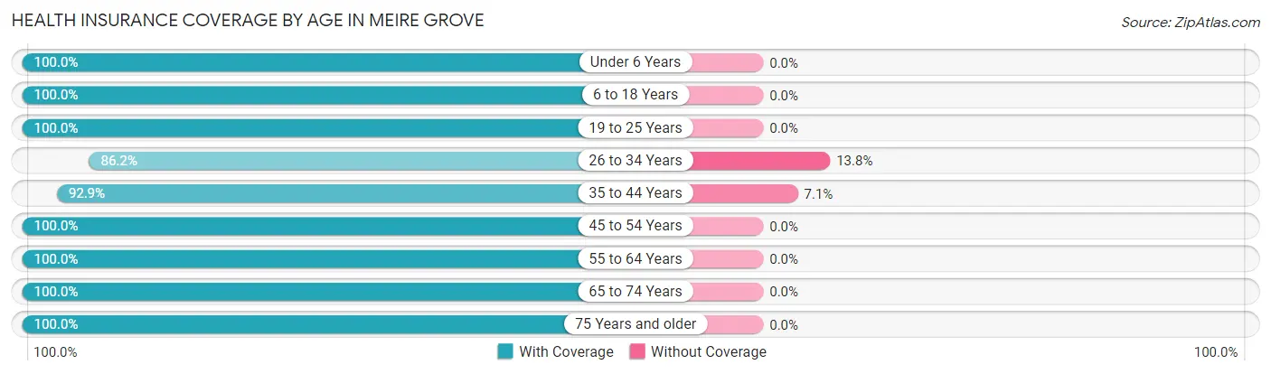 Health Insurance Coverage by Age in Meire Grove