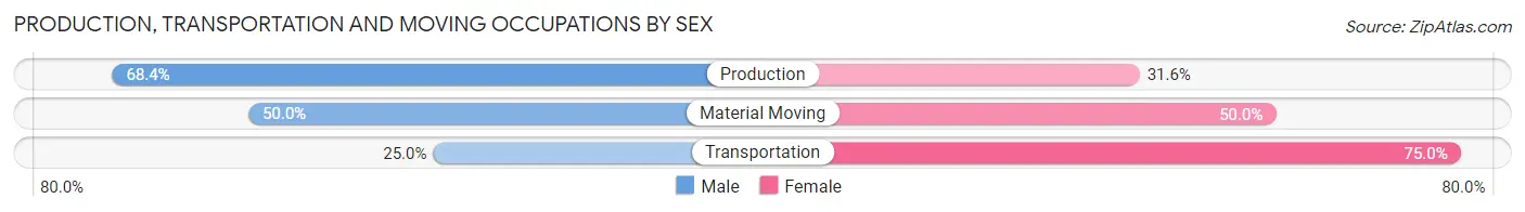 Production, Transportation and Moving Occupations by Sex in Meire Grove