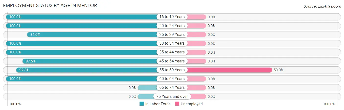 Employment Status by Age in Mentor