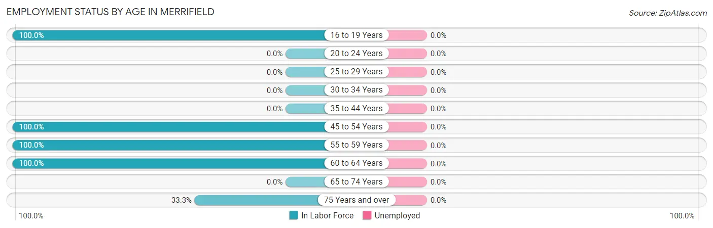 Employment Status by Age in Merrifield