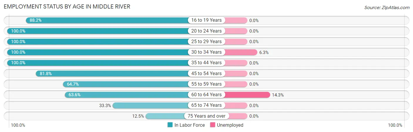 Employment Status by Age in Middle River