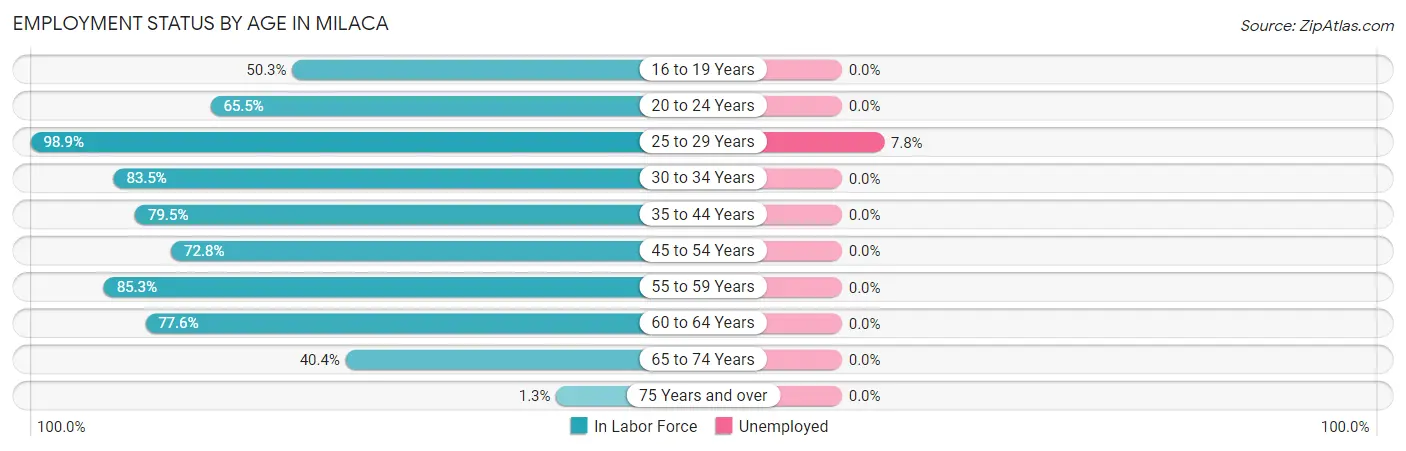 Employment Status by Age in Milaca