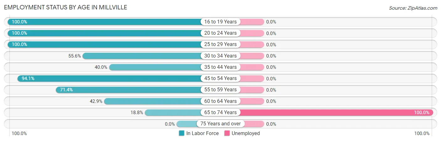 Employment Status by Age in Millville