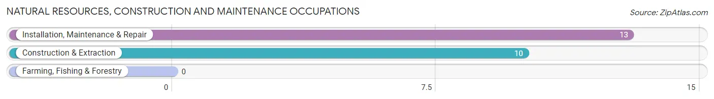 Natural Resources, Construction and Maintenance Occupations in Miltona