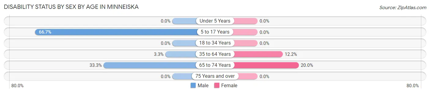 Disability Status by Sex by Age in Minneiska