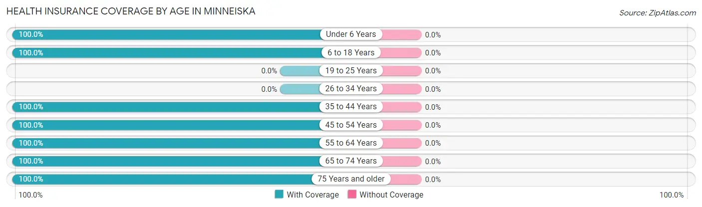 Health Insurance Coverage by Age in Minneiska