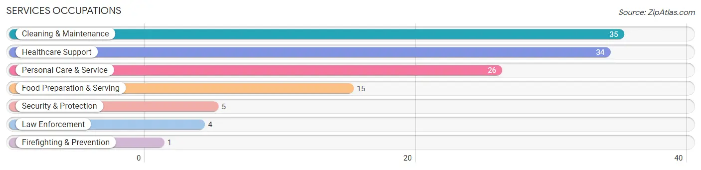 Services Occupations in Minneota