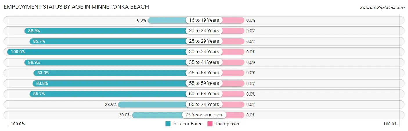 Employment Status by Age in Minnetonka Beach