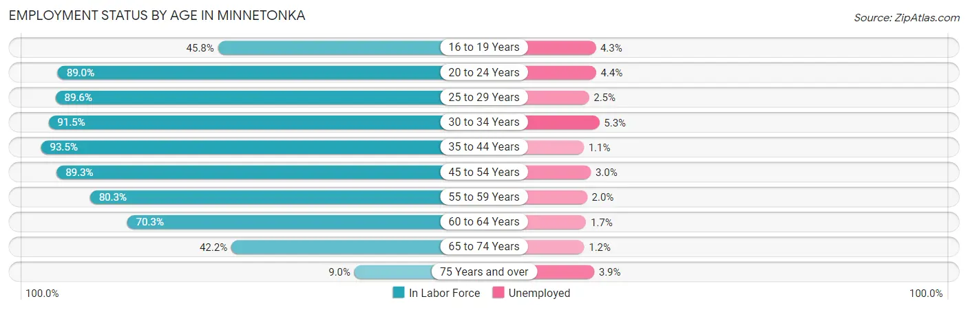 Employment Status by Age in Minnetonka