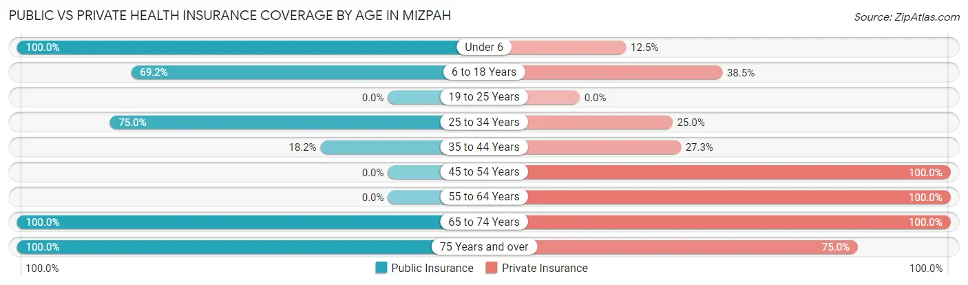 Public vs Private Health Insurance Coverage by Age in Mizpah