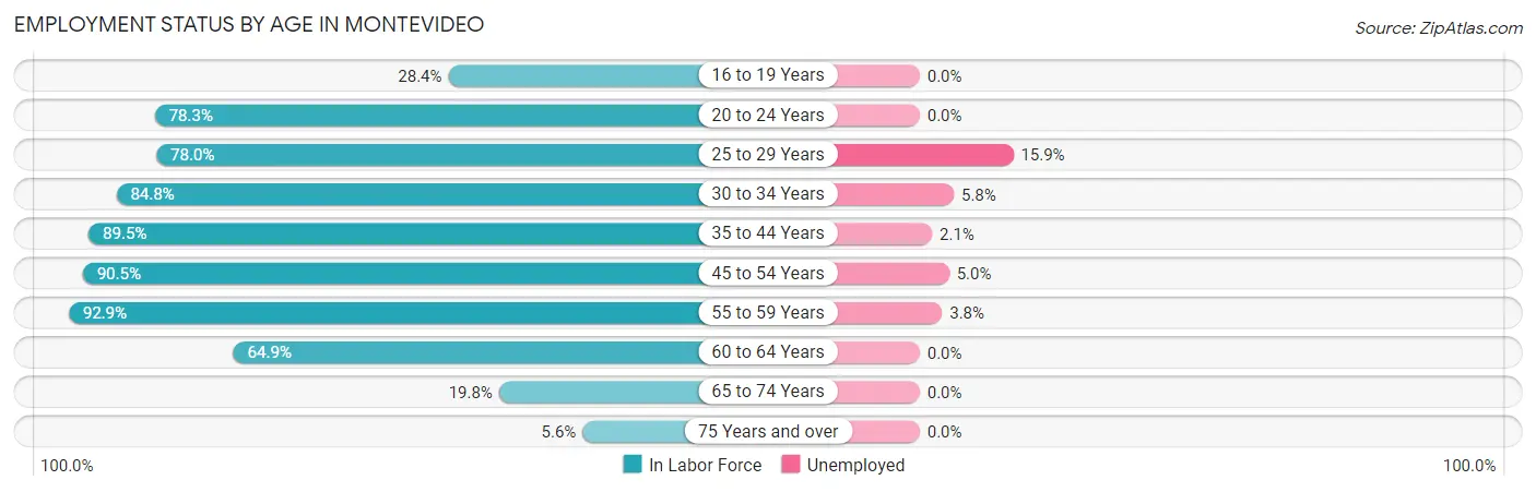 Employment Status by Age in Montevideo