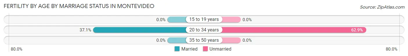 Female Fertility by Age by Marriage Status in Montevideo