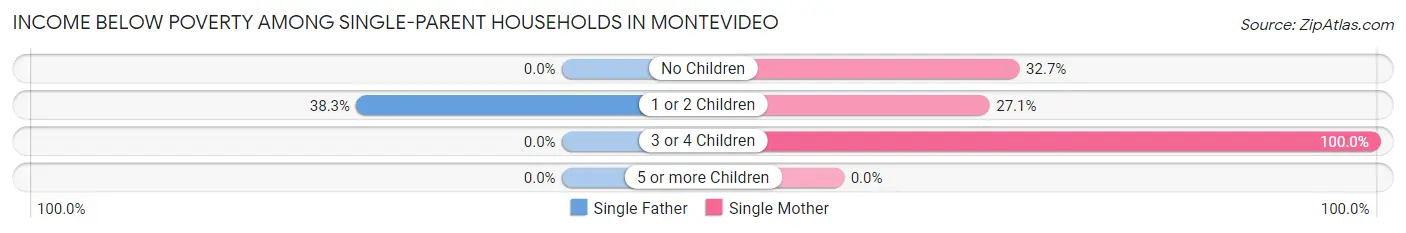 Income Below Poverty Among Single-Parent Households in Montevideo