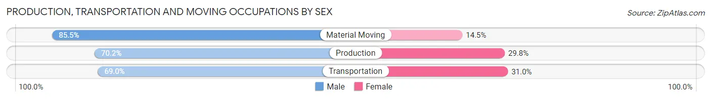 Production, Transportation and Moving Occupations by Sex in Montevideo