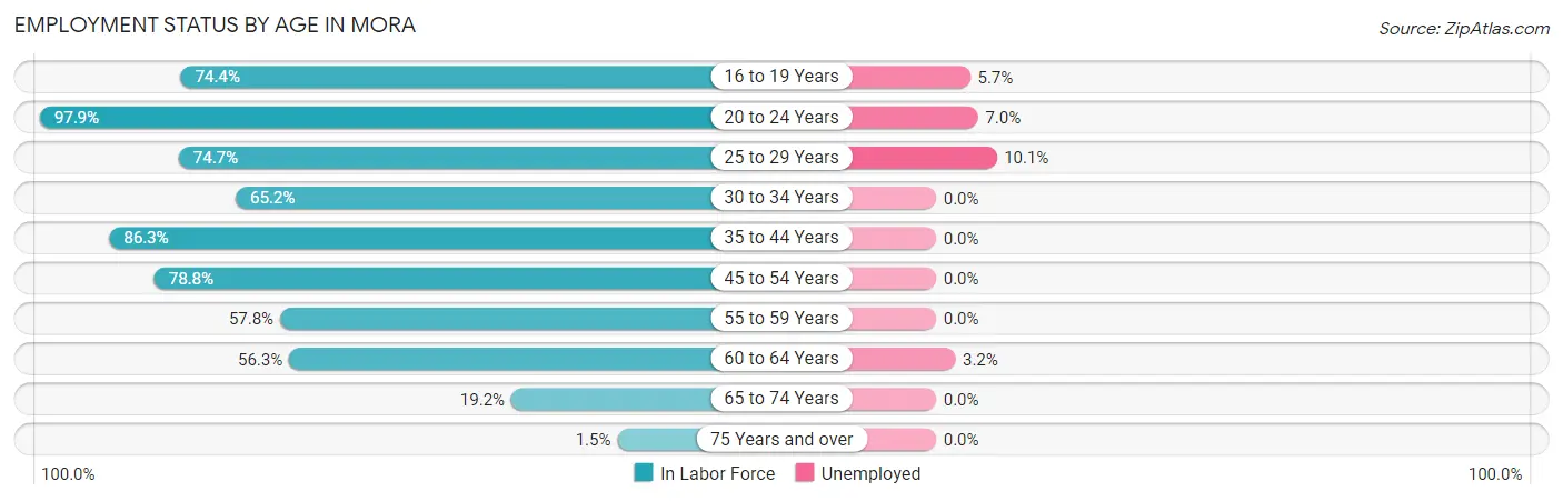 Employment Status by Age in Mora