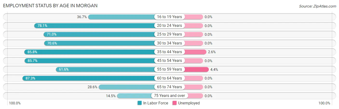 Employment Status by Age in Morgan