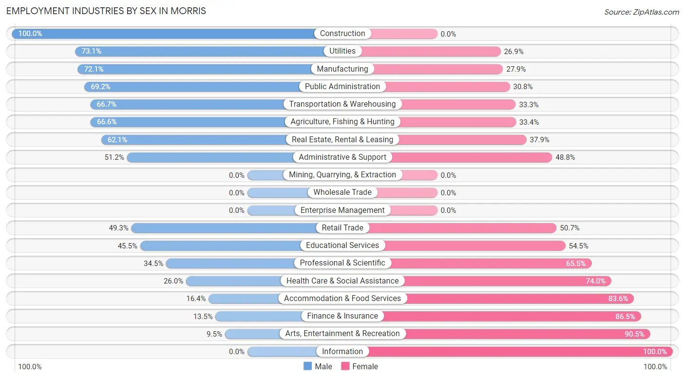 Employment Industries by Sex in Morris