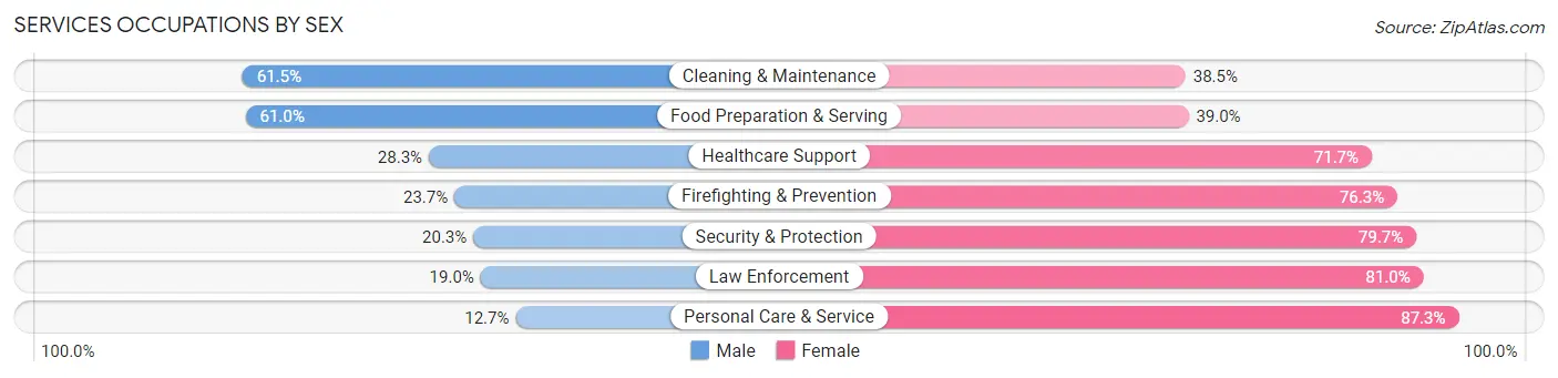 Services Occupations by Sex in Mounds View