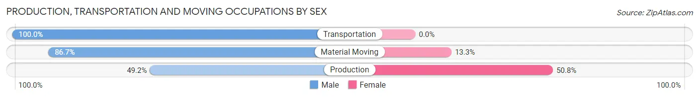Production, Transportation and Moving Occupations by Sex in Mountain Iron