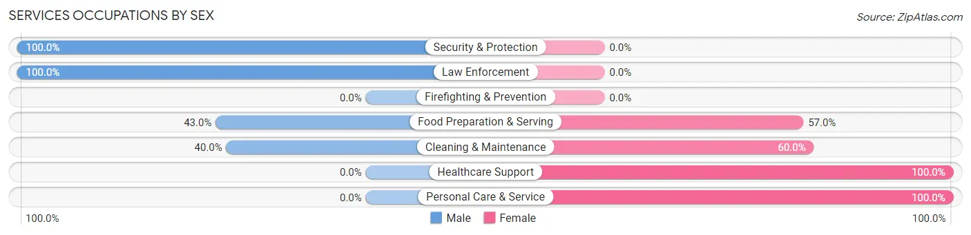 Services Occupations by Sex in Mountain Iron