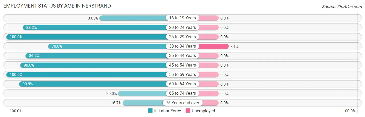 Employment Status by Age in Nerstrand