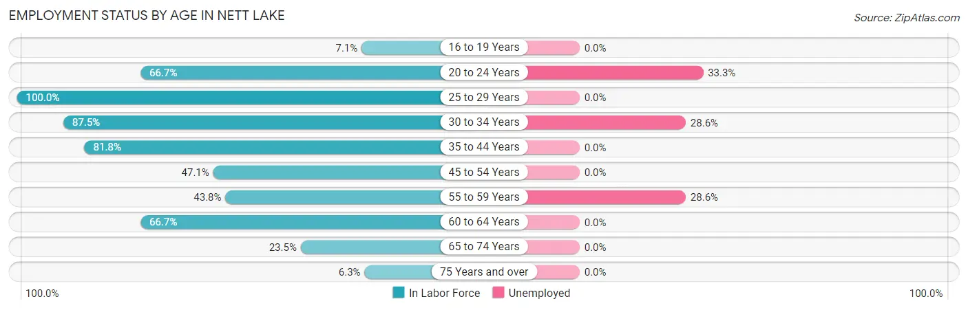 Employment Status by Age in Nett Lake