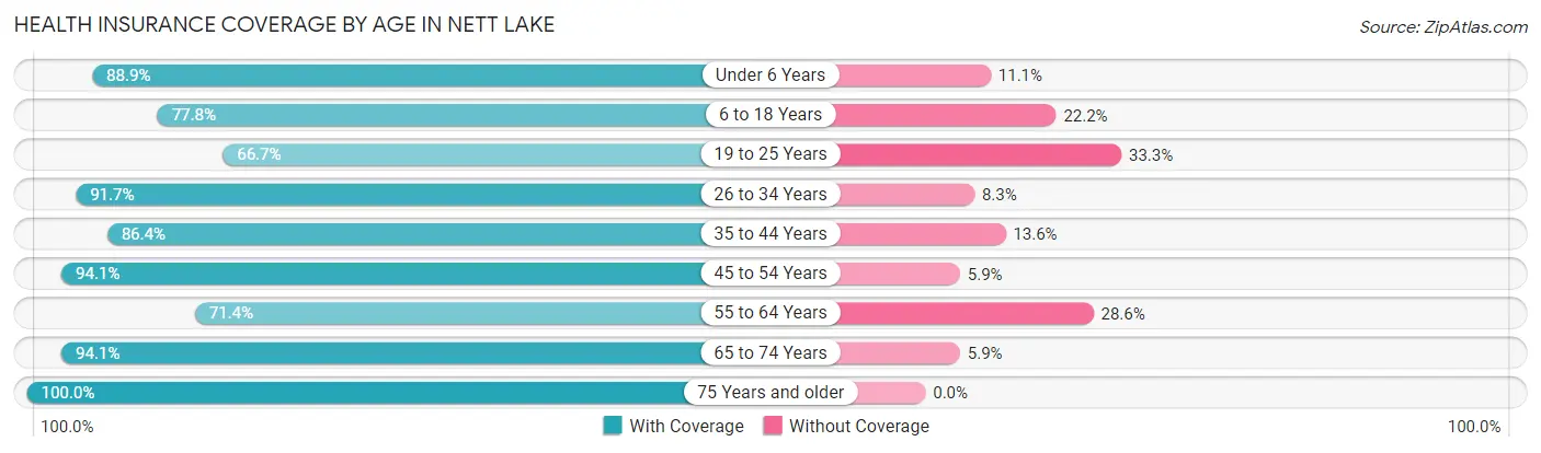 Health Insurance Coverage by Age in Nett Lake