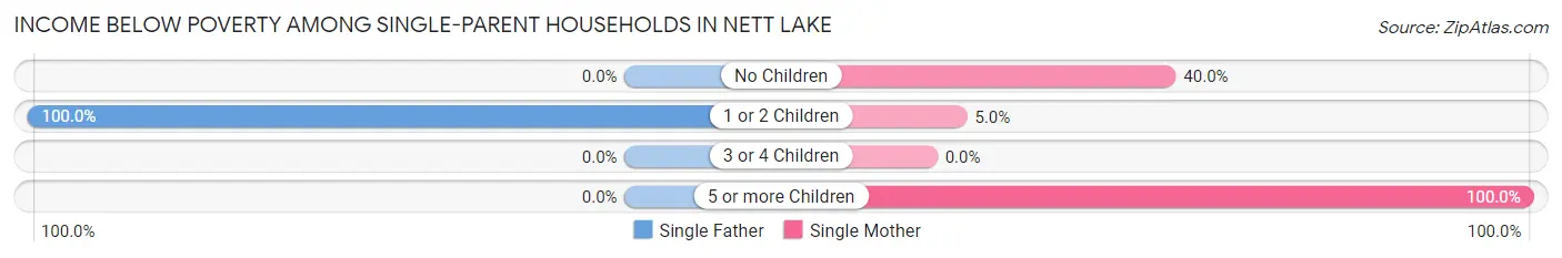 Income Below Poverty Among Single-Parent Households in Nett Lake