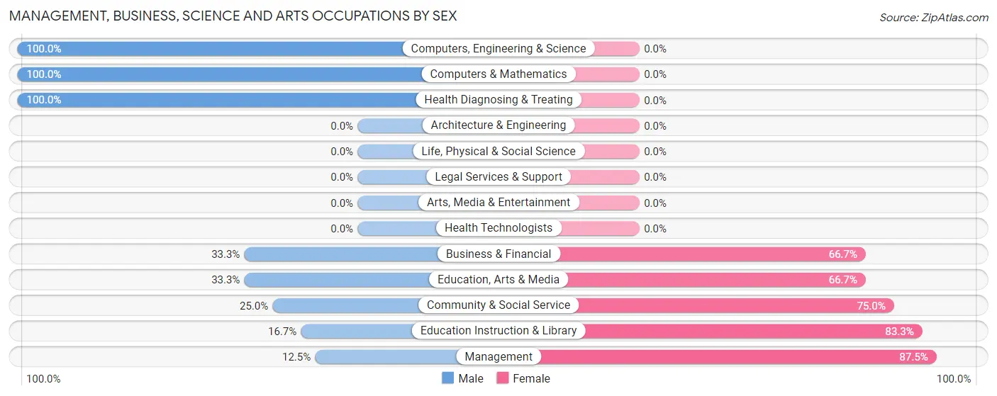 Management, Business, Science and Arts Occupations by Sex in Nett Lake