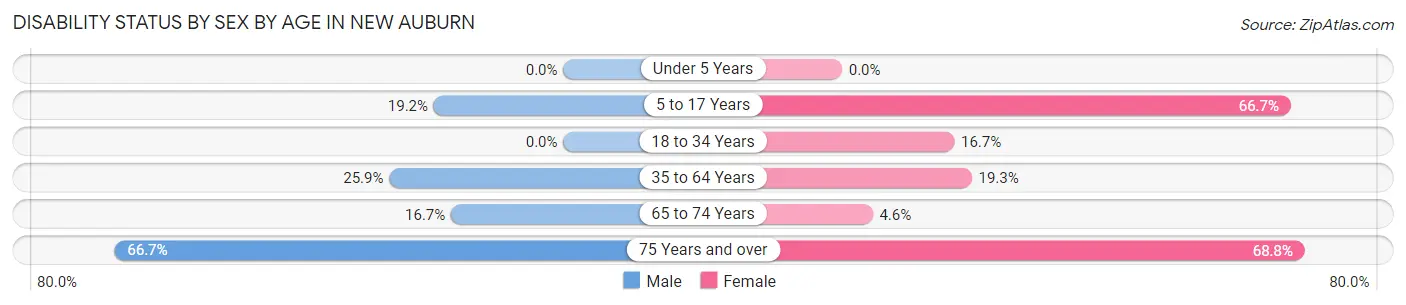 Disability Status by Sex by Age in New Auburn
