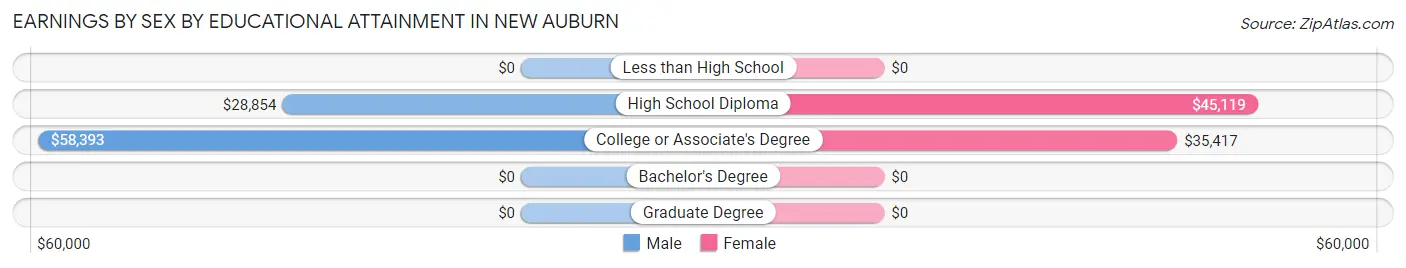 Earnings by Sex by Educational Attainment in New Auburn