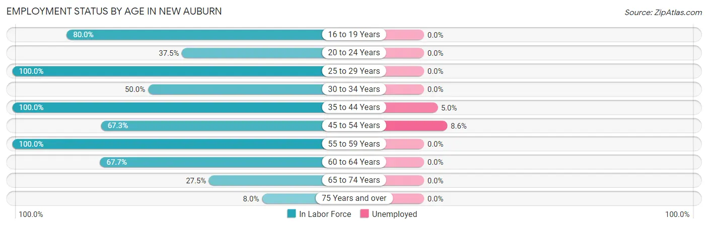 Employment Status by Age in New Auburn