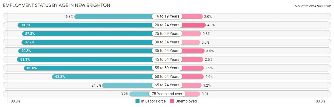 Employment Status by Age in New Brighton