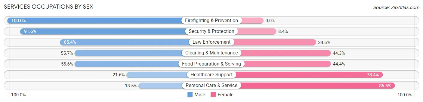 Services Occupations by Sex in New Brighton
