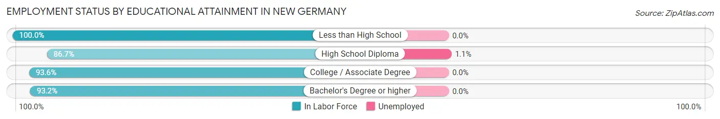 Employment Status by Educational Attainment in New Germany