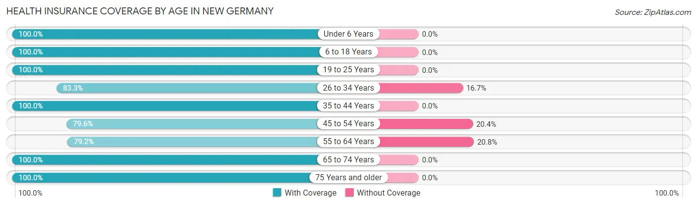 Health Insurance Coverage by Age in New Germany