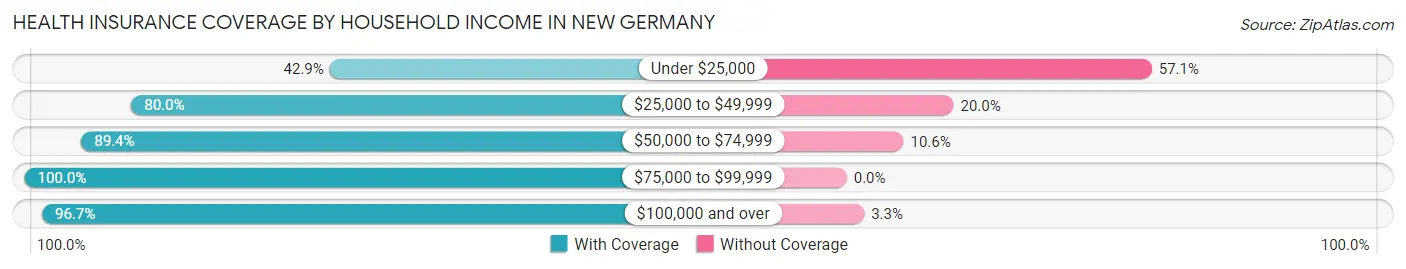 Health Insurance Coverage by Household Income in New Germany